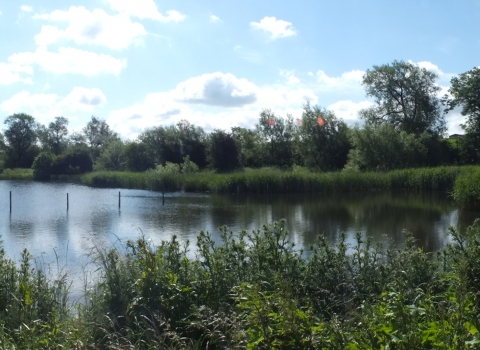 Kelham Bridge Leicestershire and Rutland Wildlife Trust